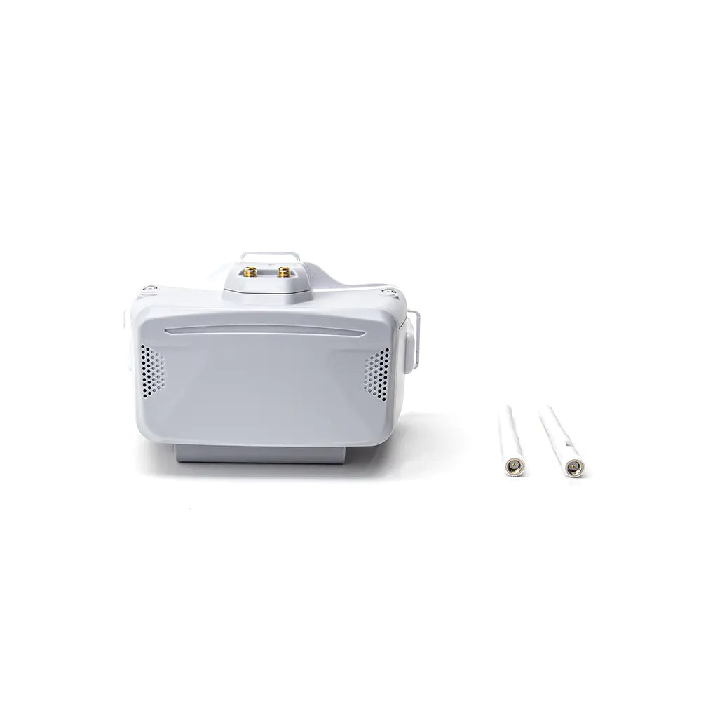 12327 2 goggles skyzone cobra sd