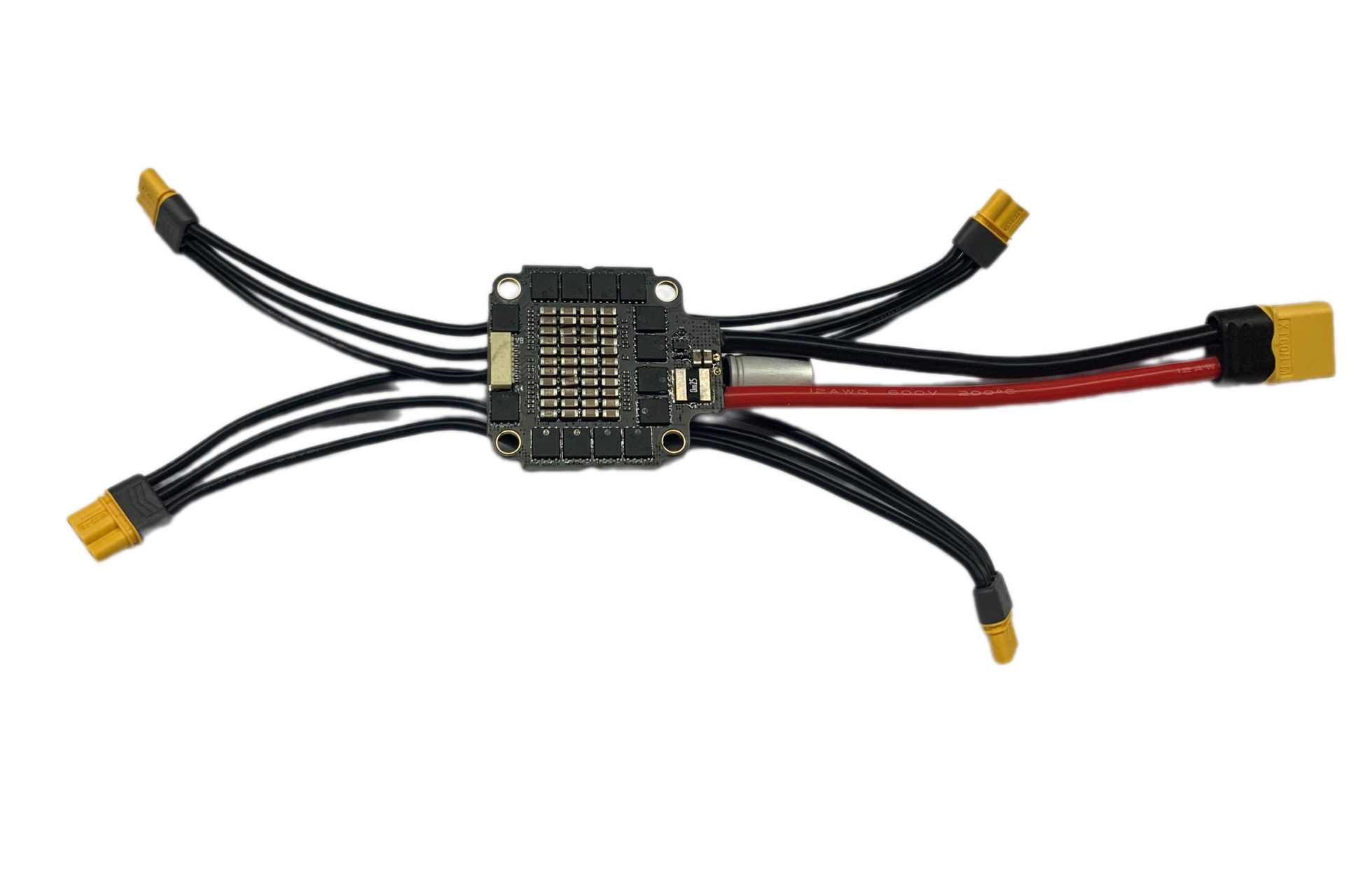 Remove bg.ai 1725959375766