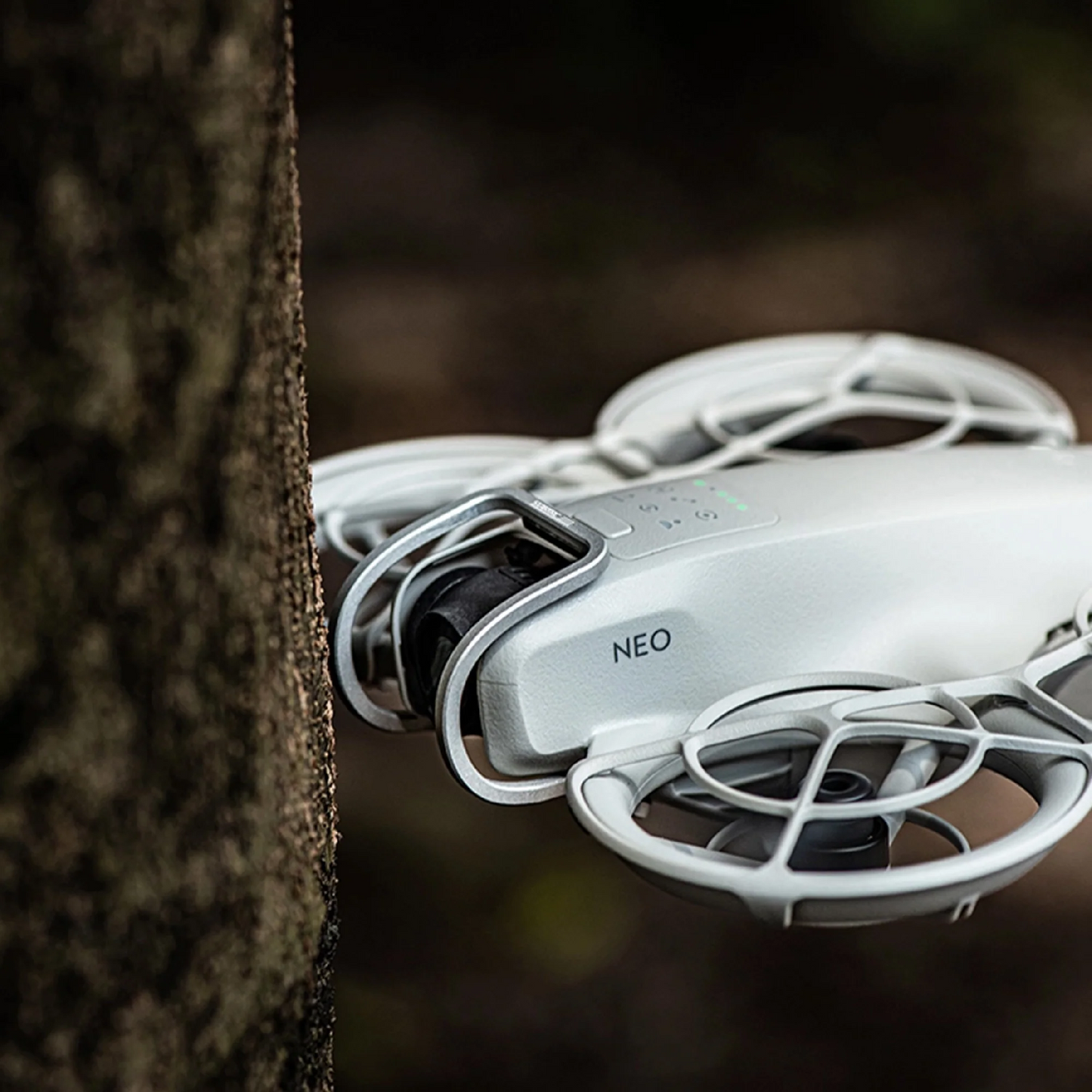 3 91d97adc 67b2 4bf7 8853 e5044233af52